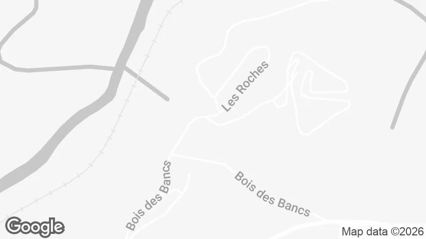 Google Maps