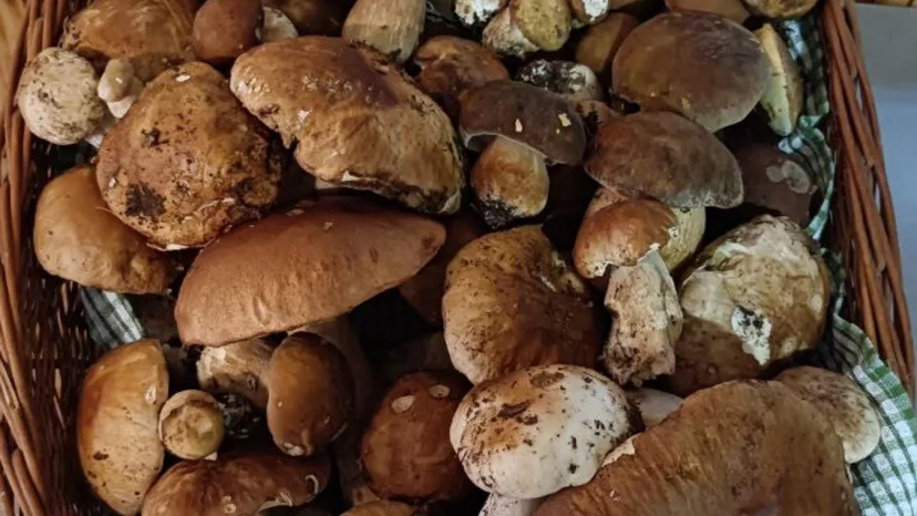 Osteria di Potame - Amantea