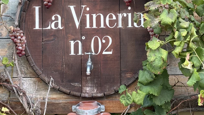 La Vineria n. 02