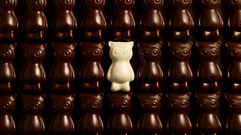 Cedric et la Chocolaterie