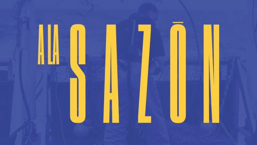 Alasazón