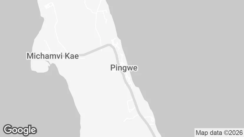 Google Maps