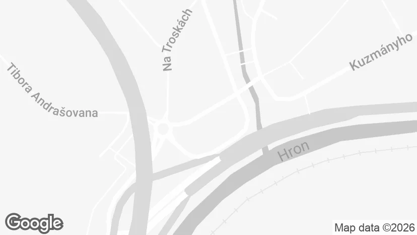 Google Maps