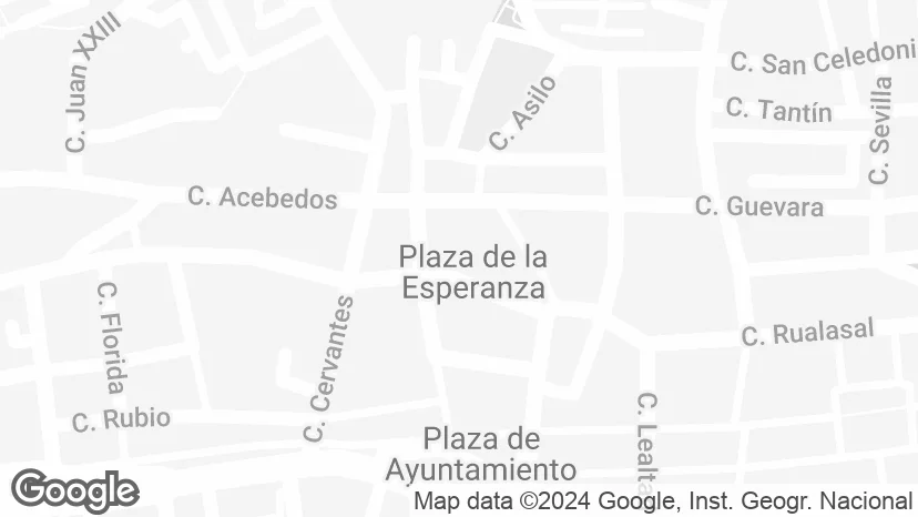 Google Maps