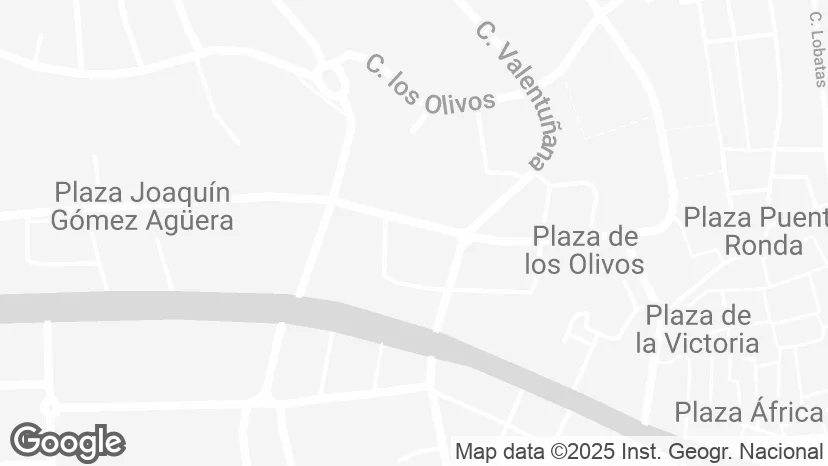 Google Maps