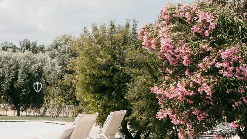 Masseria Don Luigi