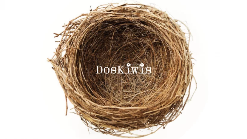 Doskiwis Nest