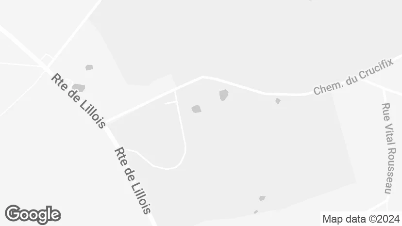 Google Maps