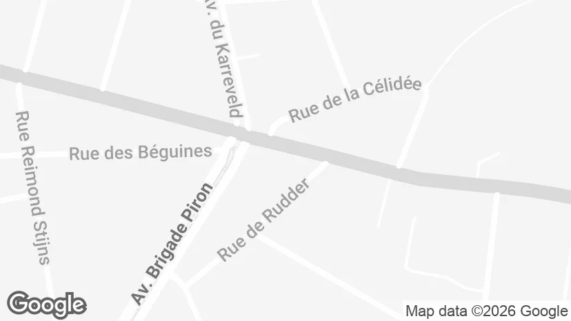 Google Maps